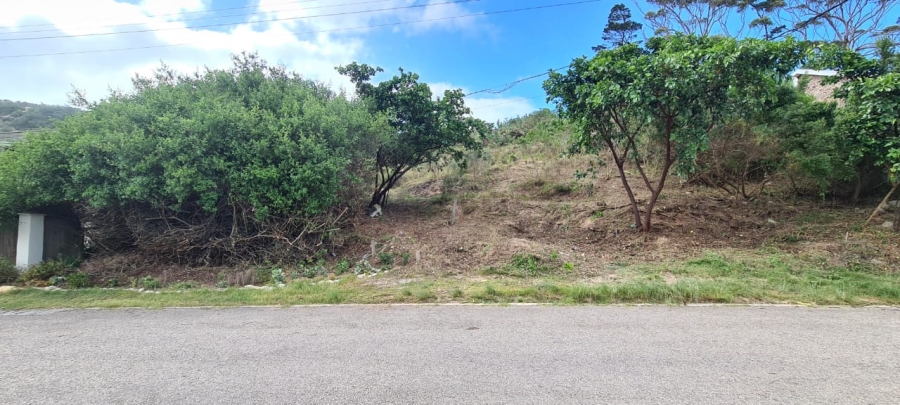  Bedroom Property for Sale in Sedgehill Western Cape